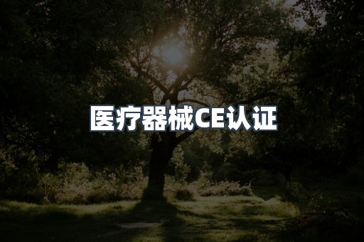 口罩防护类系列CE认证